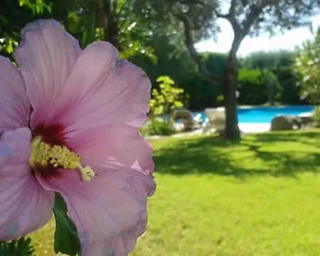 A Casa Di Angela فندق مبيت وإفطار 3*