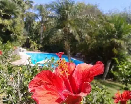 فندق مبيت وإفطار A Casa Di Angela كاربونيا