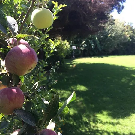 فندق مبيت وإفطار A Casa Di Angela كاربونيا