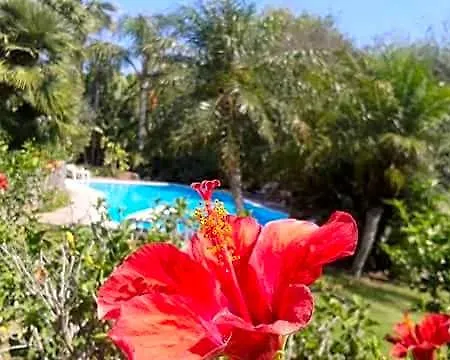 Alojamento de Acomodação e Pequeno-almoço A Casa Di Angela Carbonia