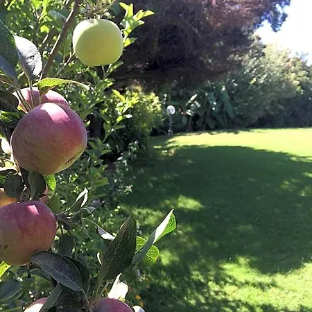 A Casa Di Angela 3*